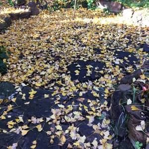 Meet your Posher, Margaret